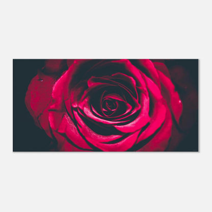 39b67b19-98df-4e16-8afb-e8e32dabae12