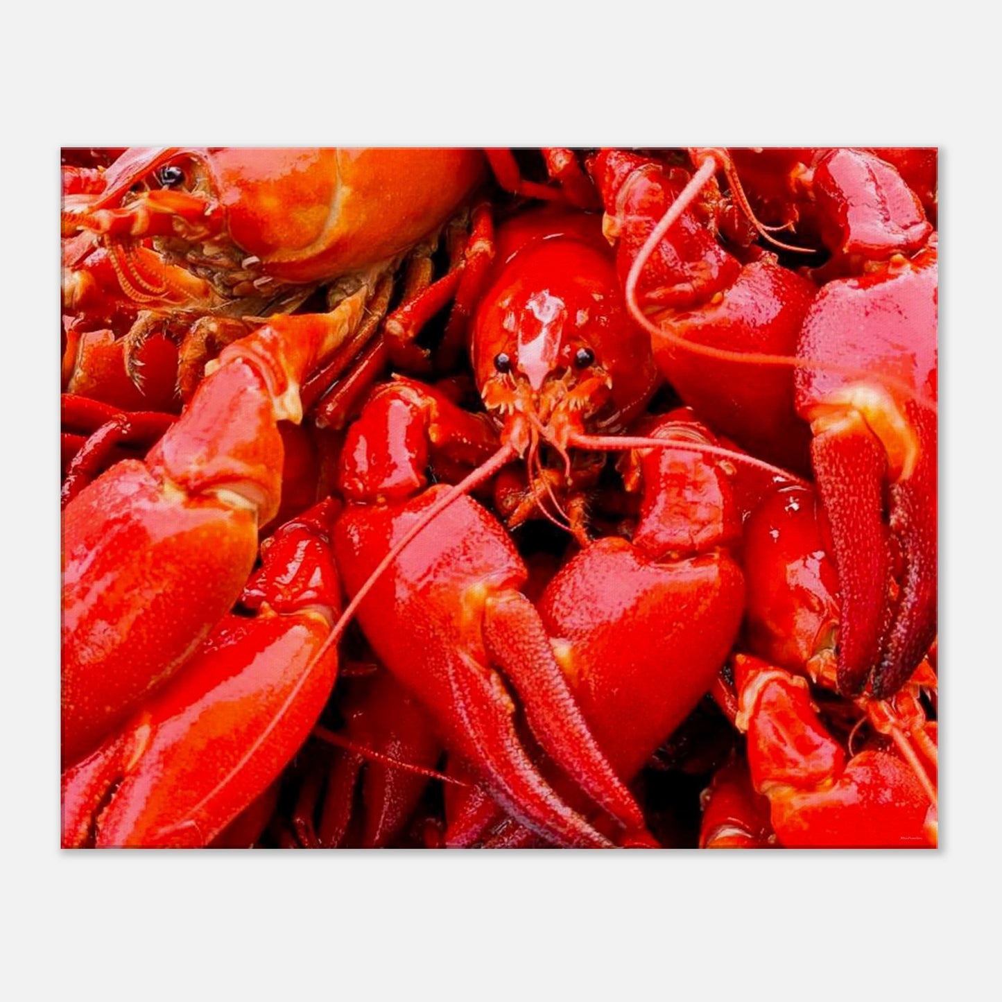 39bd4538-d89e-420a-9b93-ce319f2780e2