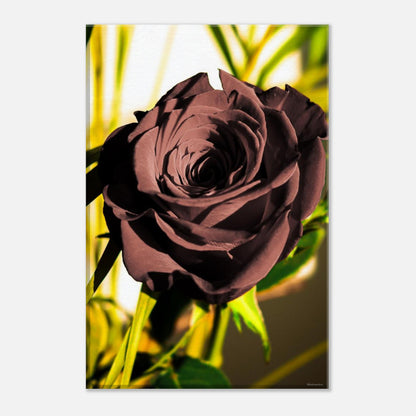 3a19f636-abdf-4f7b-abc4-858b0949beea