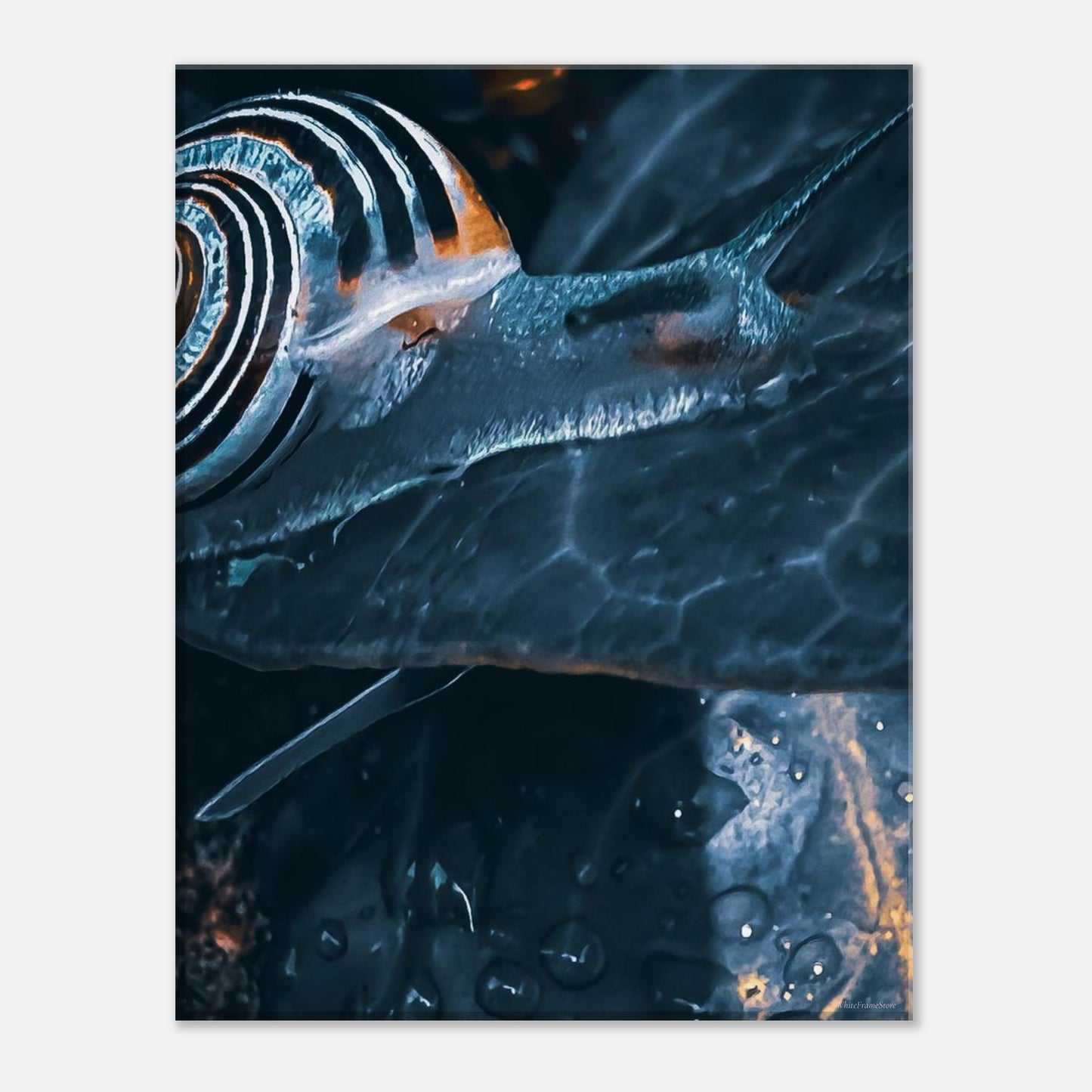 3a242c6e-54c3-457a-b3d8-1eb71d1ae681