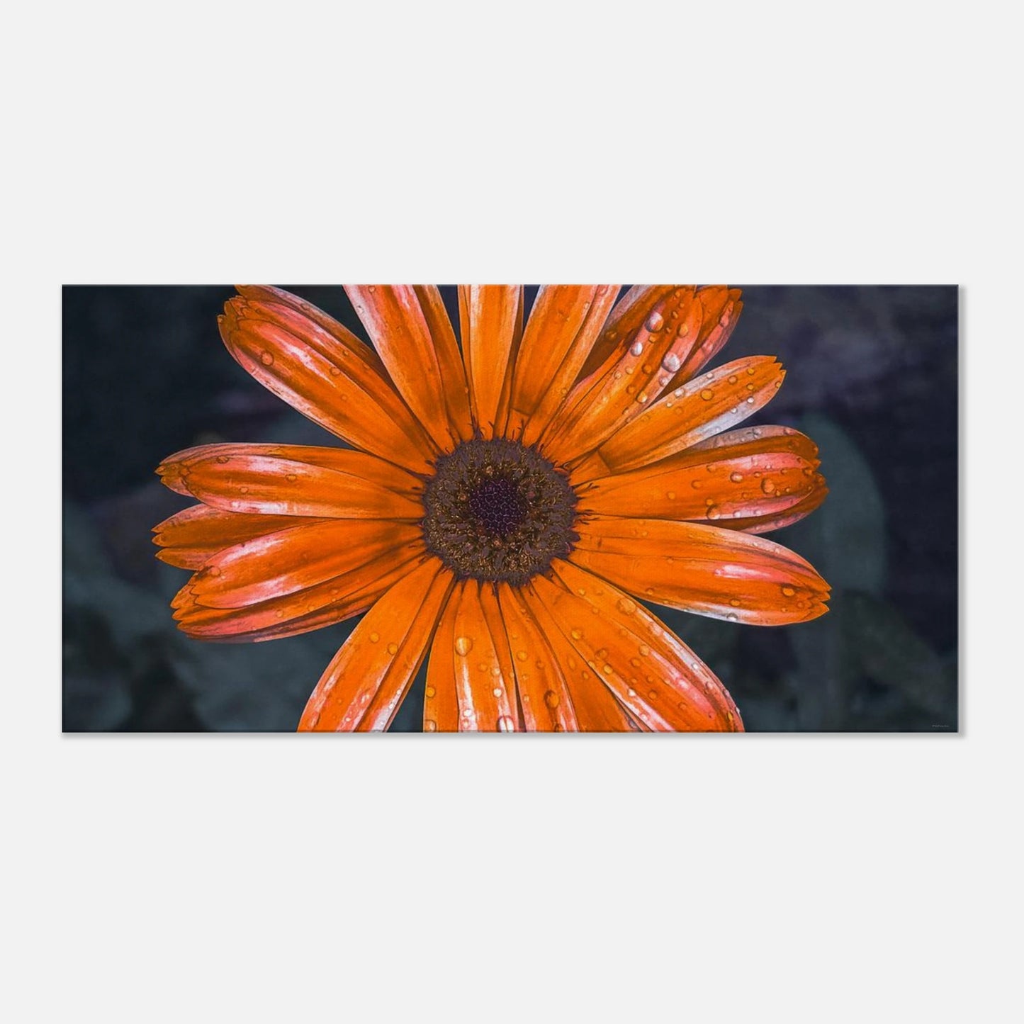 3a30bc90-5c45-4fda-9c26-4f43ad760b69