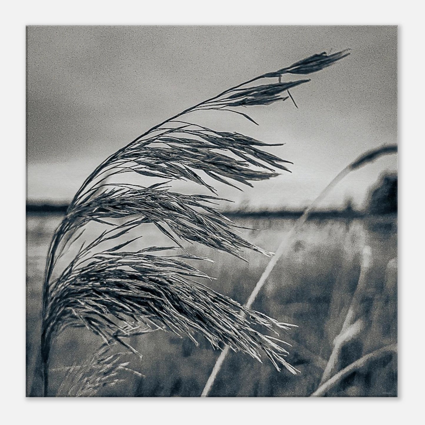 3a312ad0-b6fb-4a74-89ec-b8e041b42831