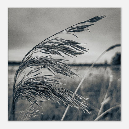 3a312ad0-b6fb-4a74-89ec-b8e041b42831