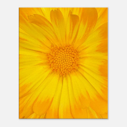 3a74cfad-2b88-4632-a60c-008582d78b09