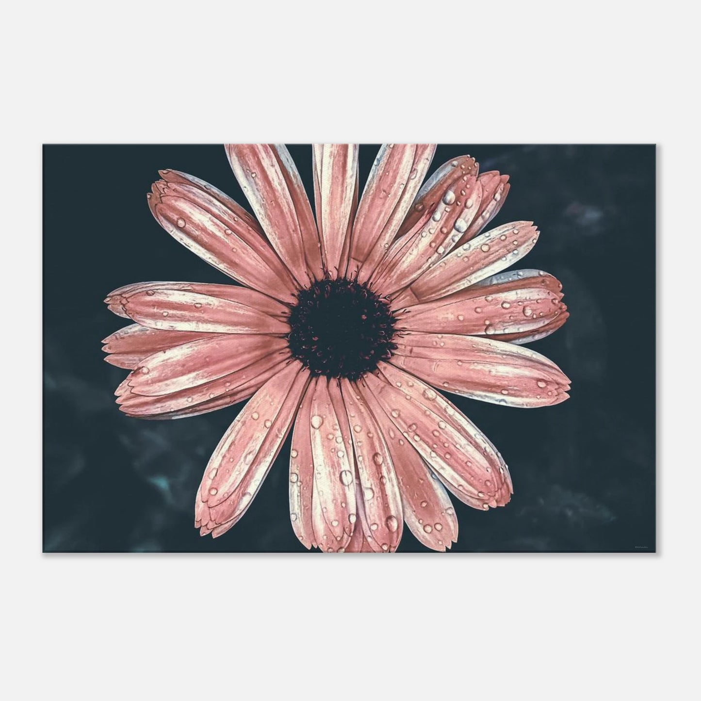 3a78bf3c-433e-48aa-9a2b-6cf6be052370