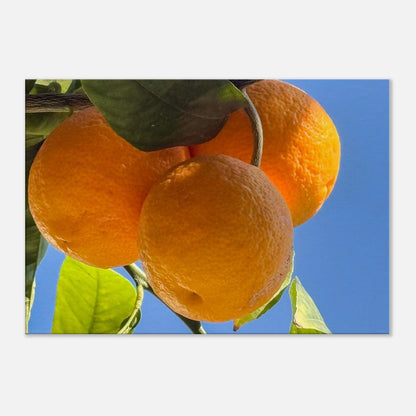 3a8654a6-c59b-496f-93f4-f5f4d938b25a