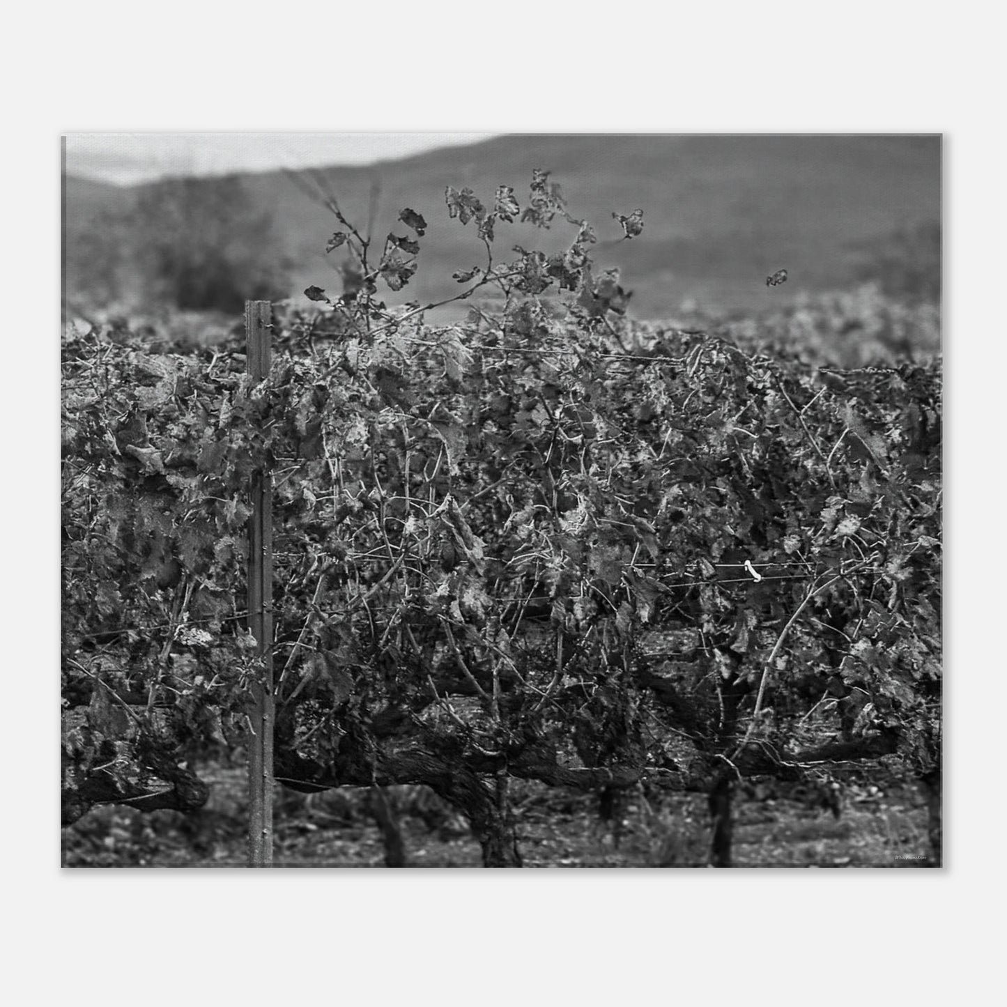 3a8a630a-6a08-4790-9068-40b416b0f3ec