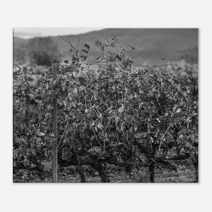 3a8a630a-6a08-4790-9068-40b416b0f3ec