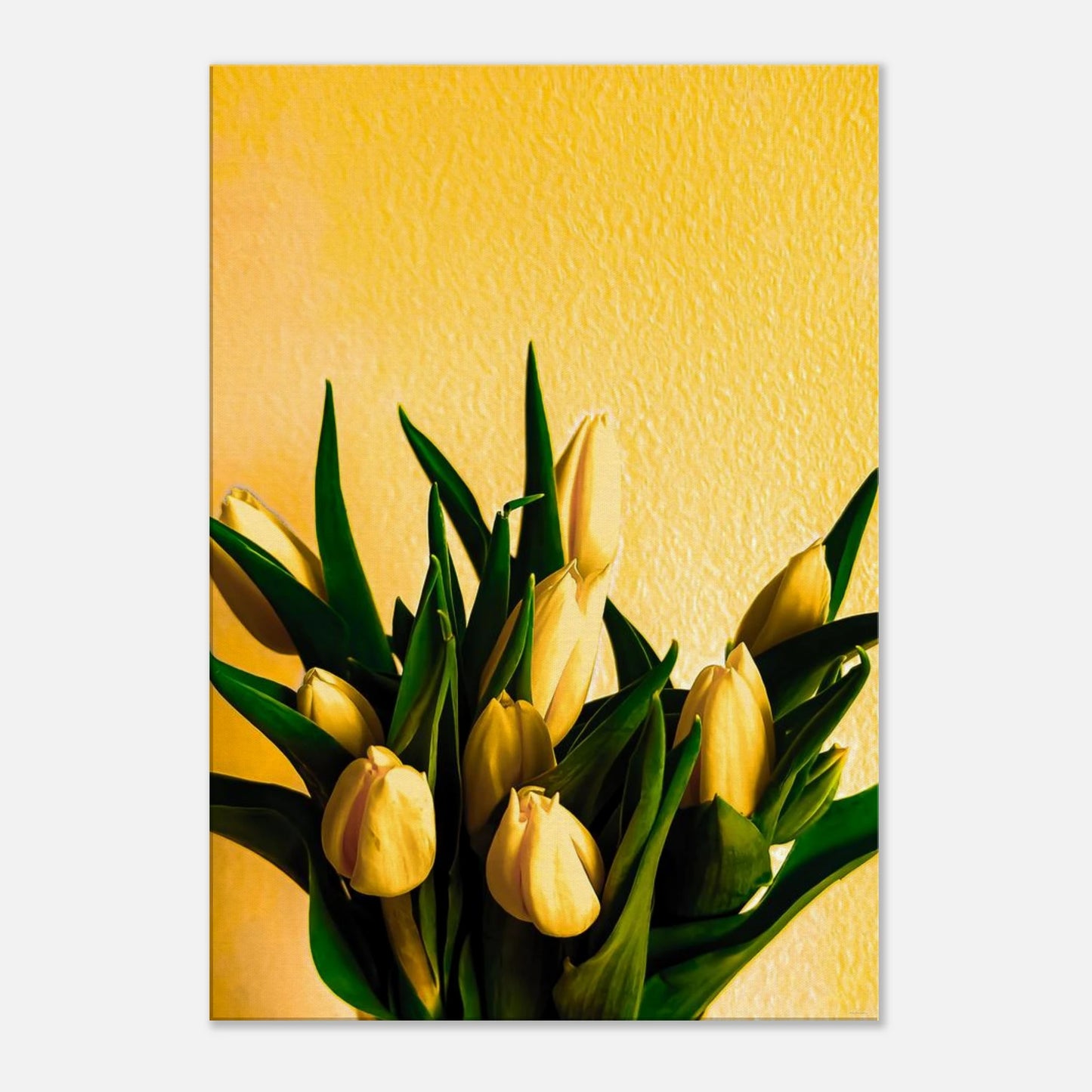 3a9553ea-42bf-4eba-9a4c-c2fe3a4479db