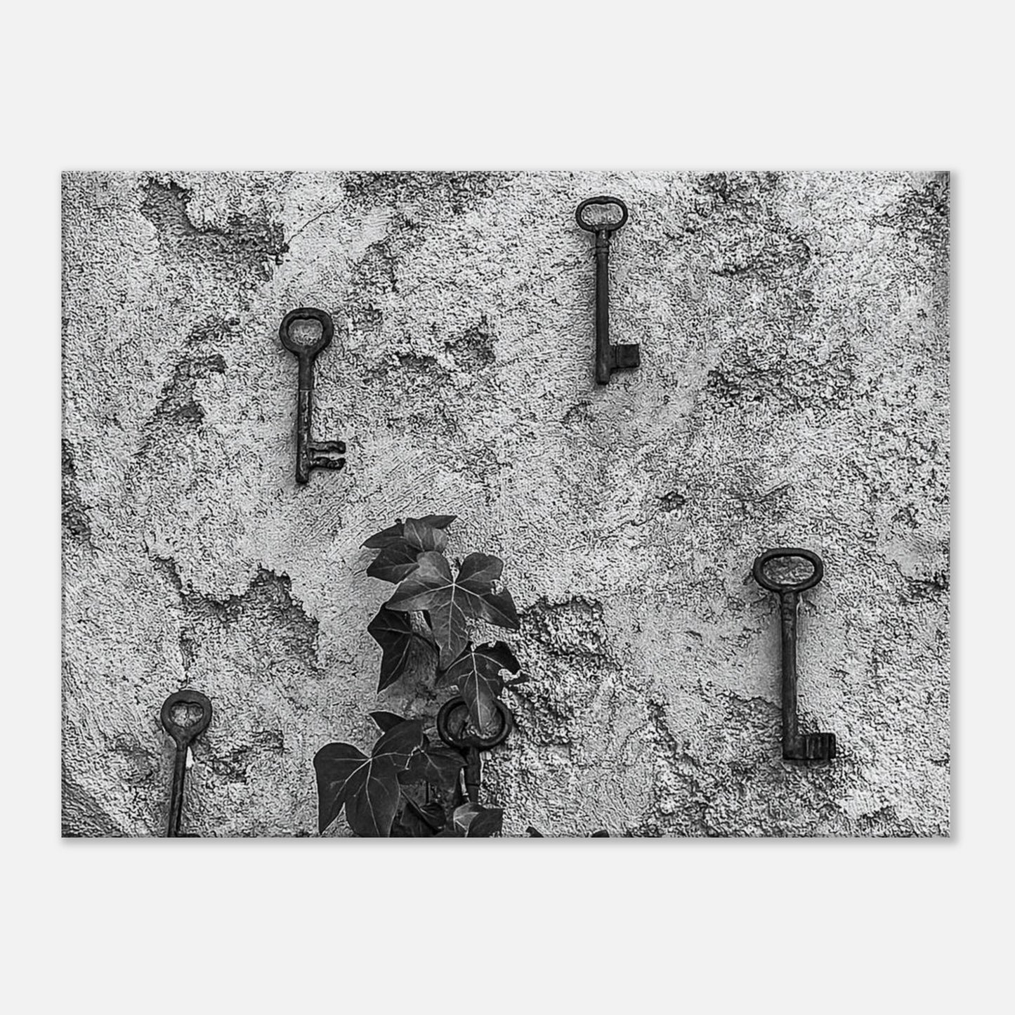 3aa8ebaa-41e1-452a-932f-e571c0c18ce6