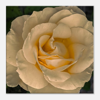 3ad41af3-c550-4eef-a1ee-eb2706ceed32