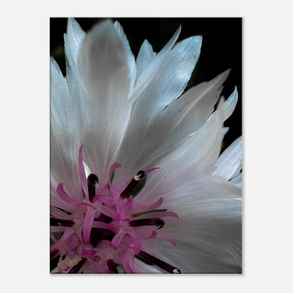 3af8644a-e51b-4d22-97c1-c50d83776f03