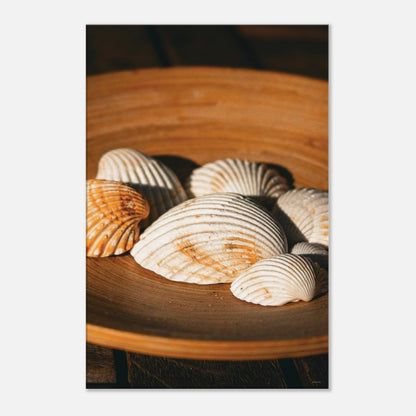 3b3ac485-441b-4202-ab2a-9f9982075dc2