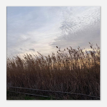 3b5a8d70-d9ba-49cb-8787-d1b872859c72