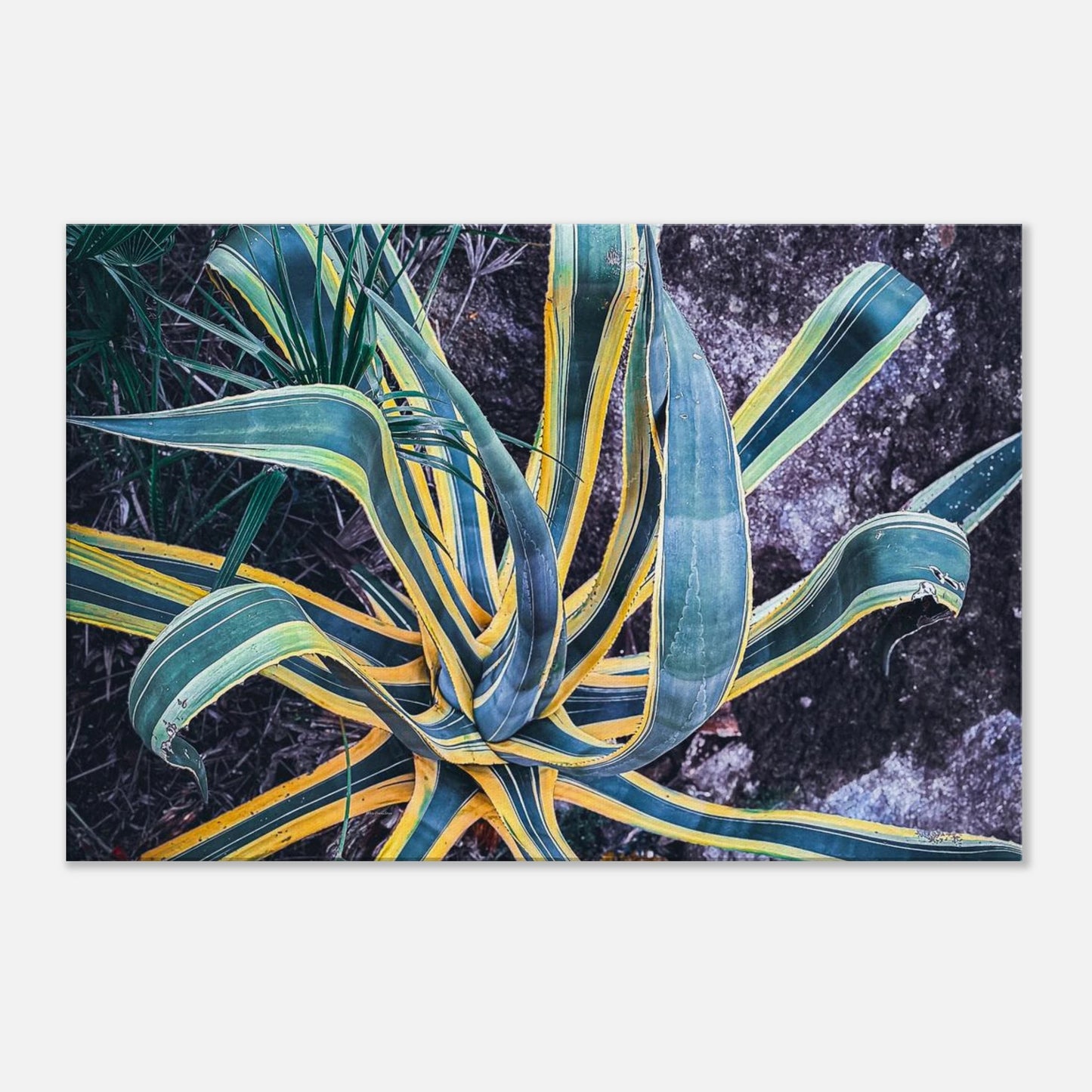 3b5bf8a2-b993-455a-84f2-2d9ec7dc01c5