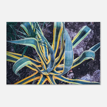 3b5bf8a2-b993-455a-84f2-2d9ec7dc01c5