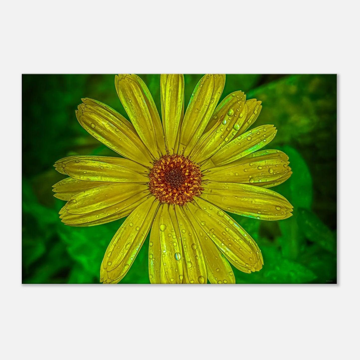 3b613988-d36d-4da5-b9ac-52df7fe24429