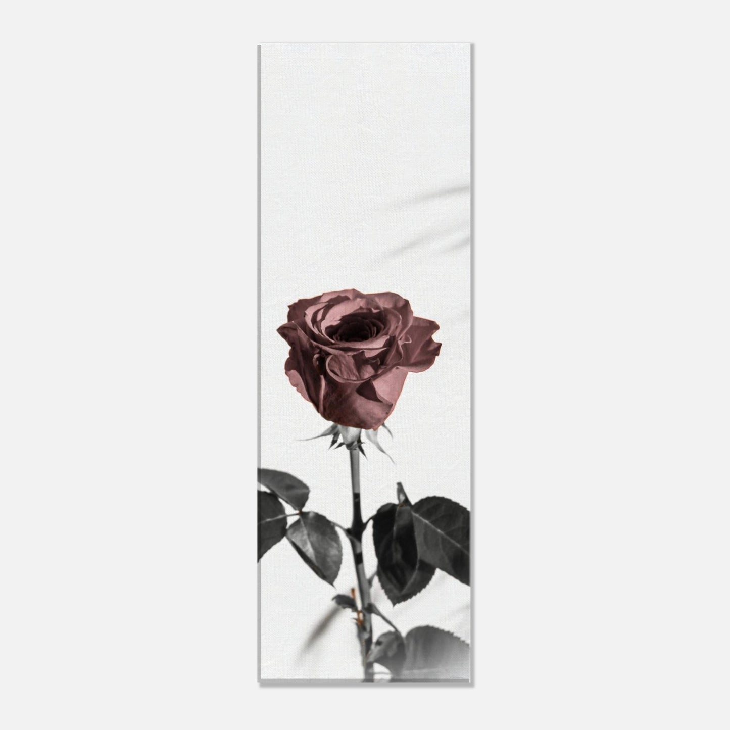 3b96b566-0e6e-4bf7-91d7-45a42cf34cc9