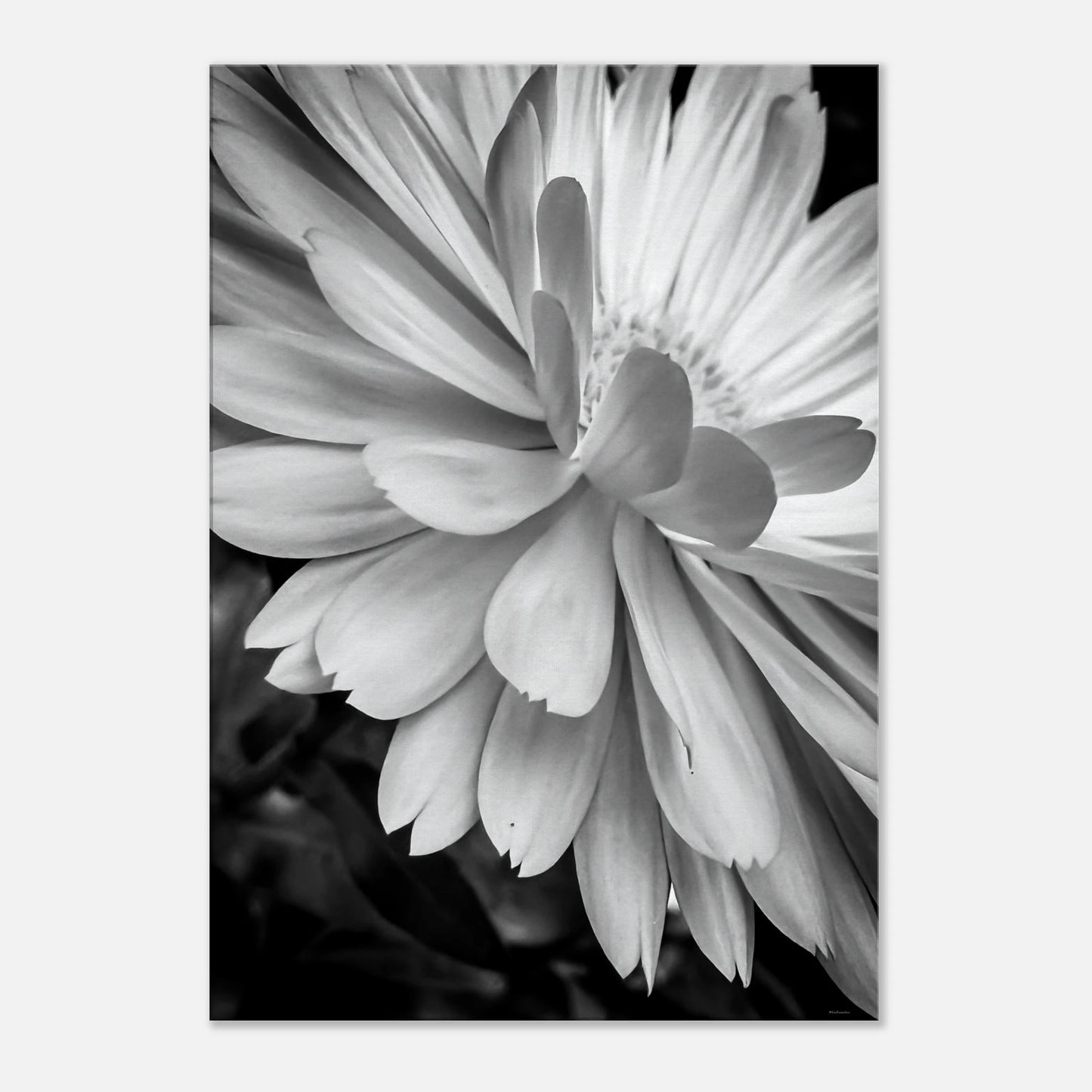 3bb7166a-e752-493e-8493-263265151511