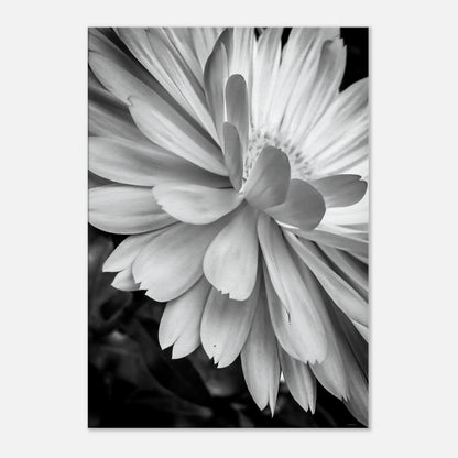 3bb7166a-e752-493e-8493-263265151511