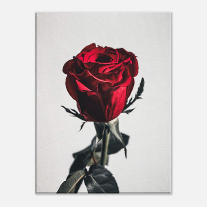 3bb7dd9f-a823-403e-a47d-d6cce397eb7a