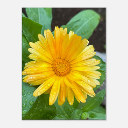 3bd80f9f-8fd1-49ec-b72f-f969c80950be