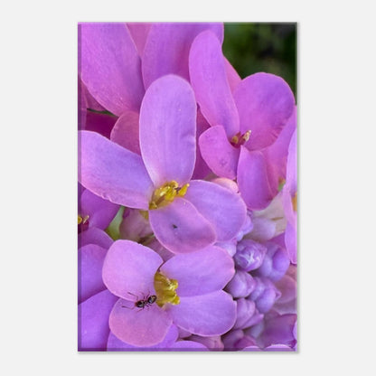 3be01492-915c-476e-82bb-2407c35a7df4