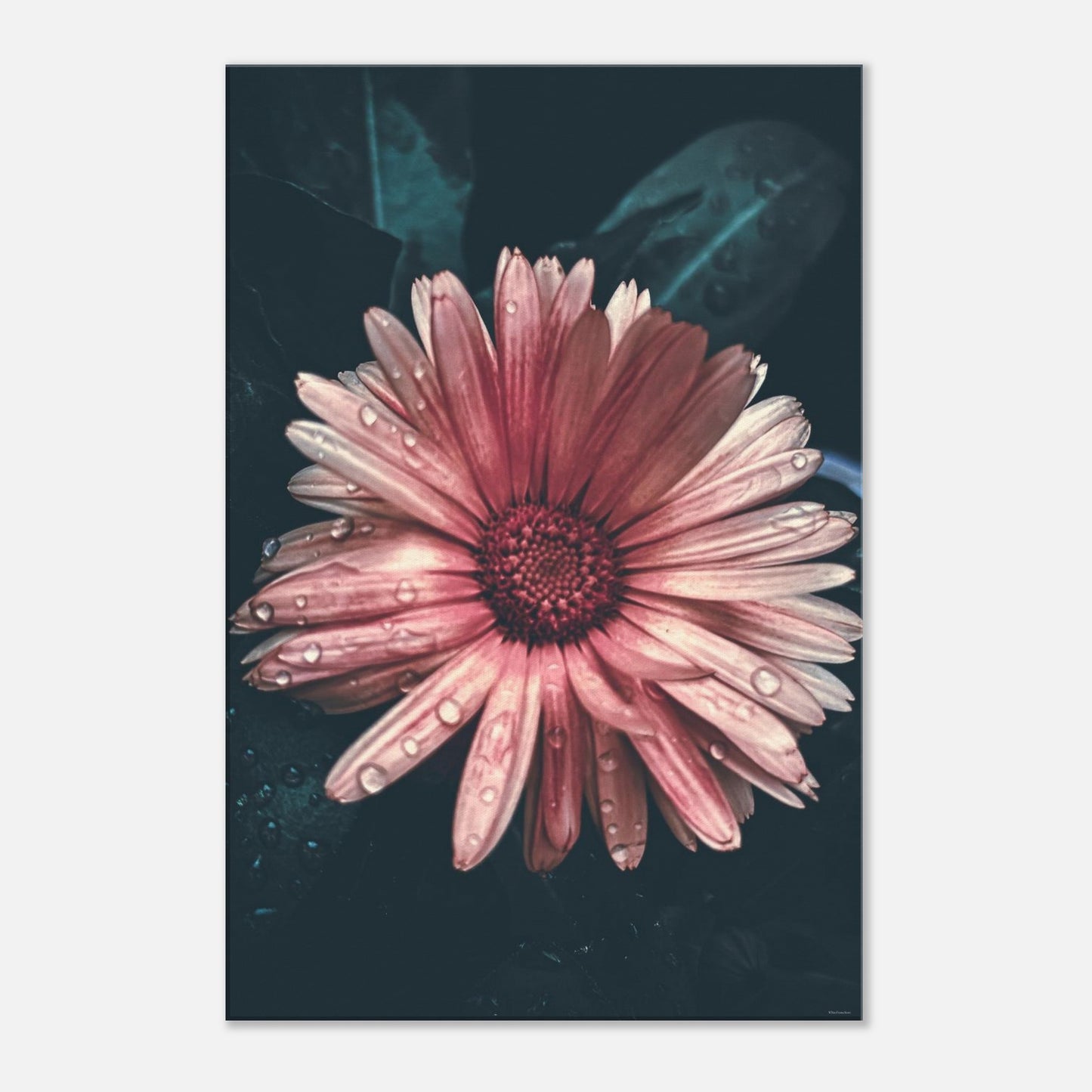 3bf5e32c-cd10-4d65-ae5a-cdd4028bafbc