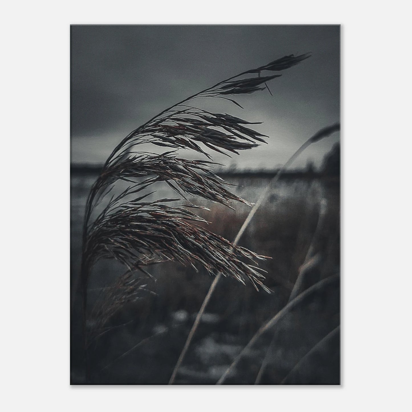 3bf86928-b829-48e9-9082-219e32ec2b1a