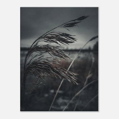 3bf86928-b829-48e9-9082-219e32ec2b1a