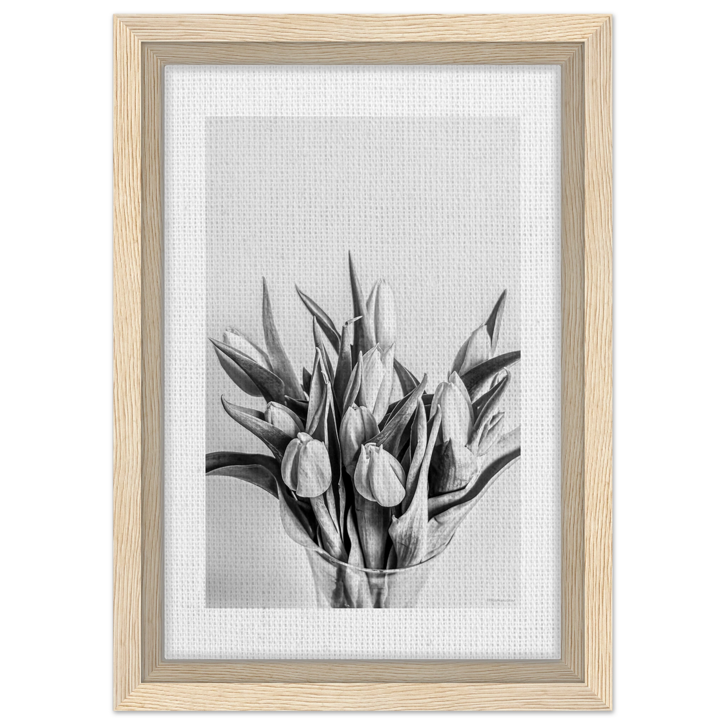 3c100a3e-49e2-4a51-8be9-ab1772d6a3ff