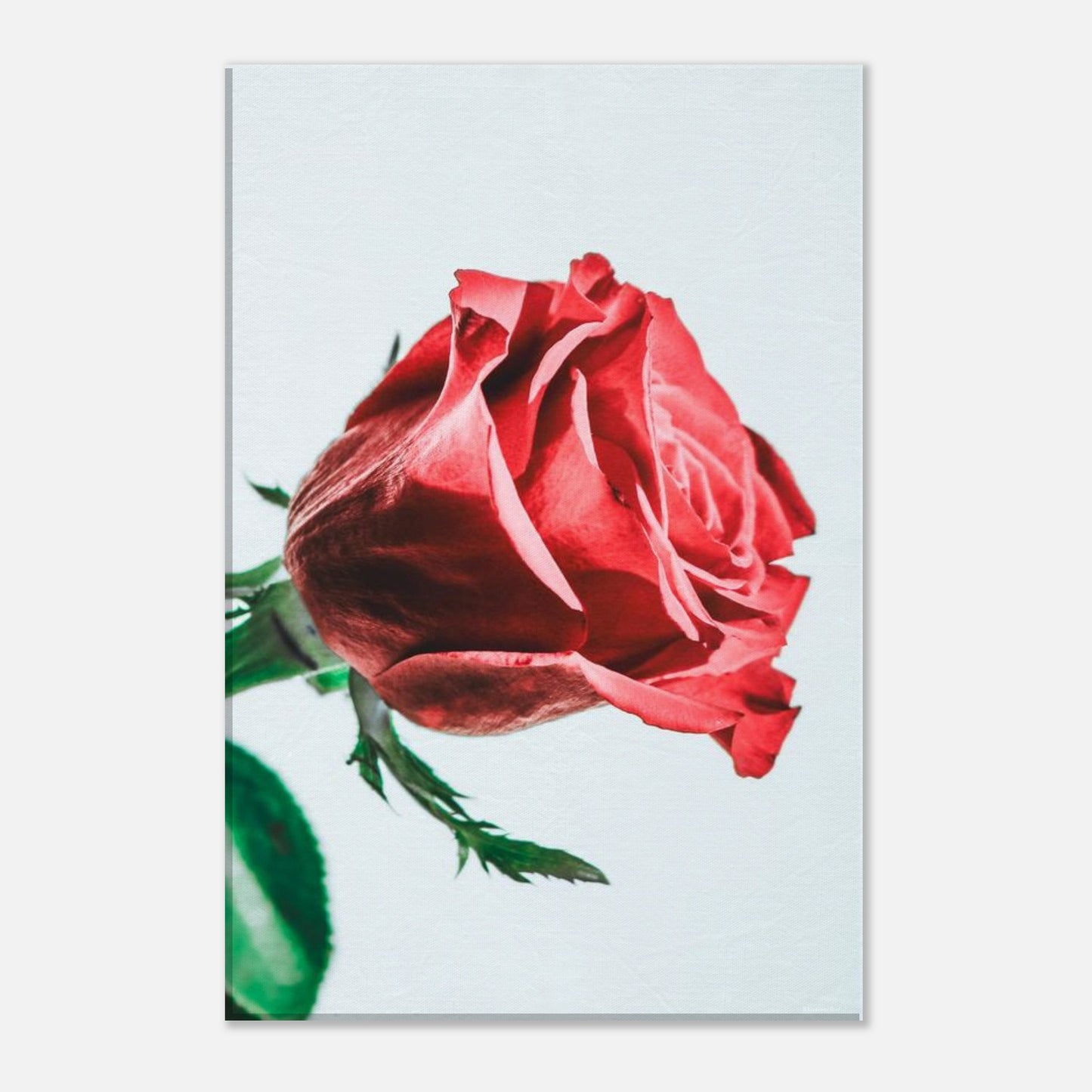 3c1319ee-9c36-479a-81e0-7cac99c066a9