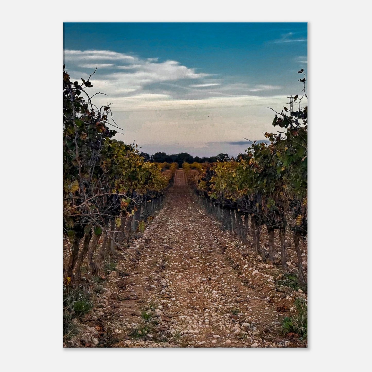 3c16b0b9-d688-410d-9d04-8f68ea6a6b8c