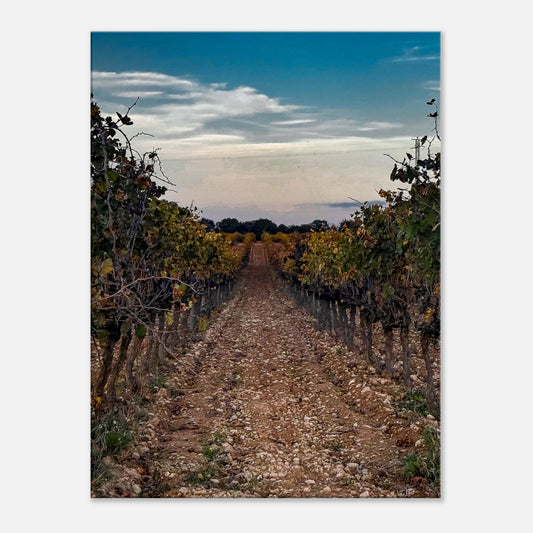 3c16b0b9-d688-410d-9d04-8f68ea6a6b8c