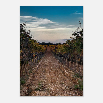 3c926fe7-4067-49b8-92f6-a0ccfb490a9e