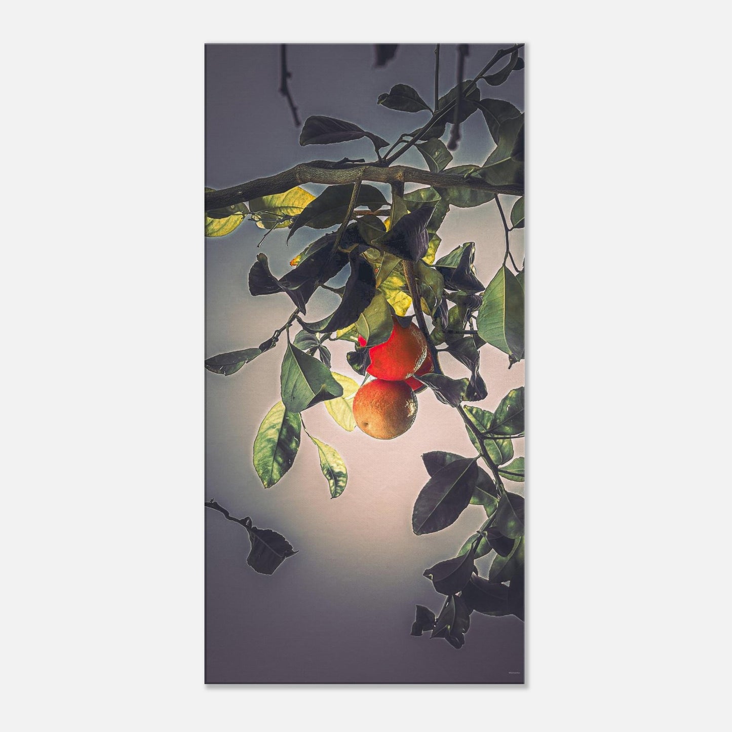 3cc710b5-14c7-410f-80a7-c3cc9fbd5f54