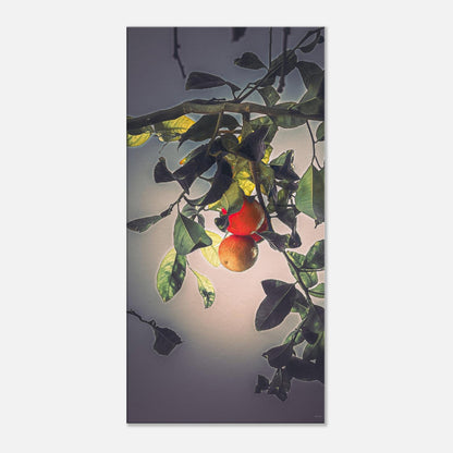 3cc710b5-14c7-410f-80a7-c3cc9fbd5f54