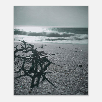 3cd40a6b-e6d5-4d6a-9f23-e4dd0dec2a66