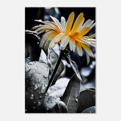 3d64046d-94f9-4ca6-8727-10b98a05073e