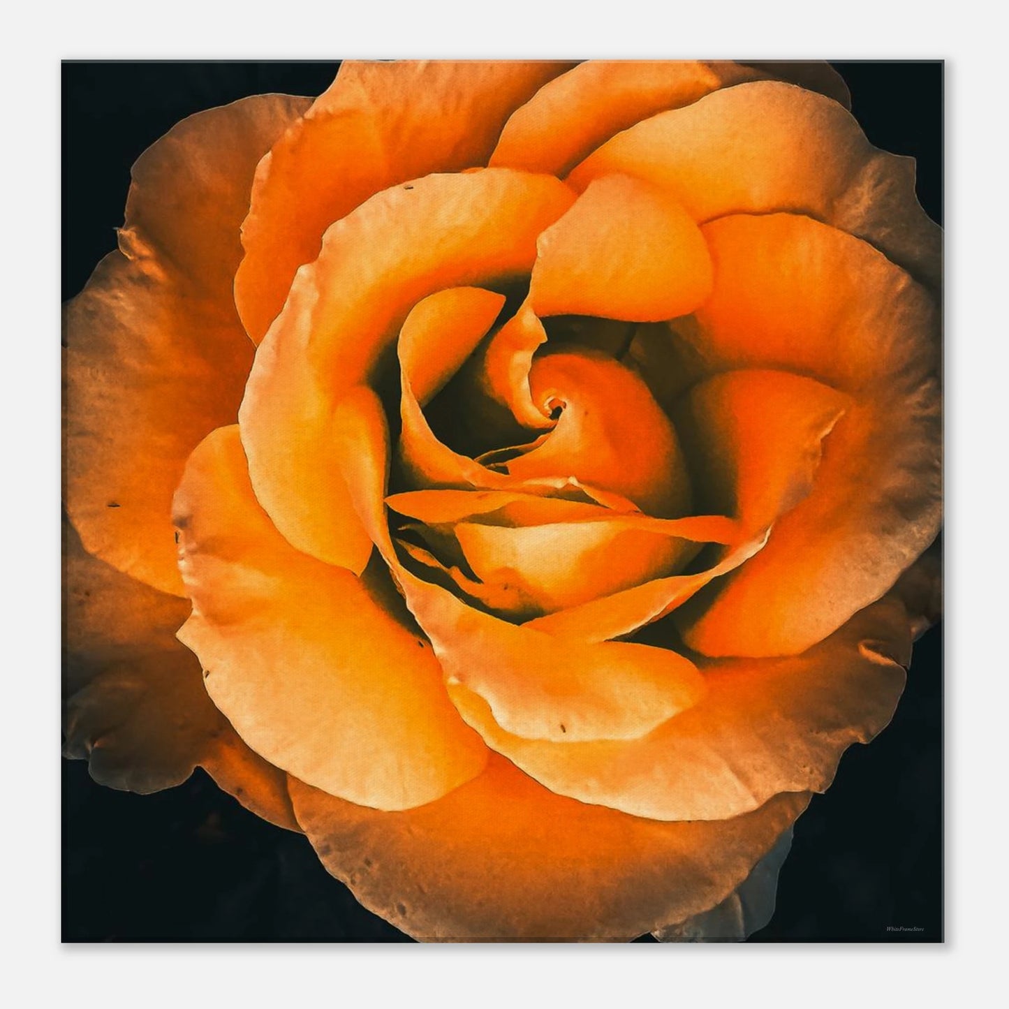 3d6f9e53-bdf7-41d4-9e58-35f4433c6500