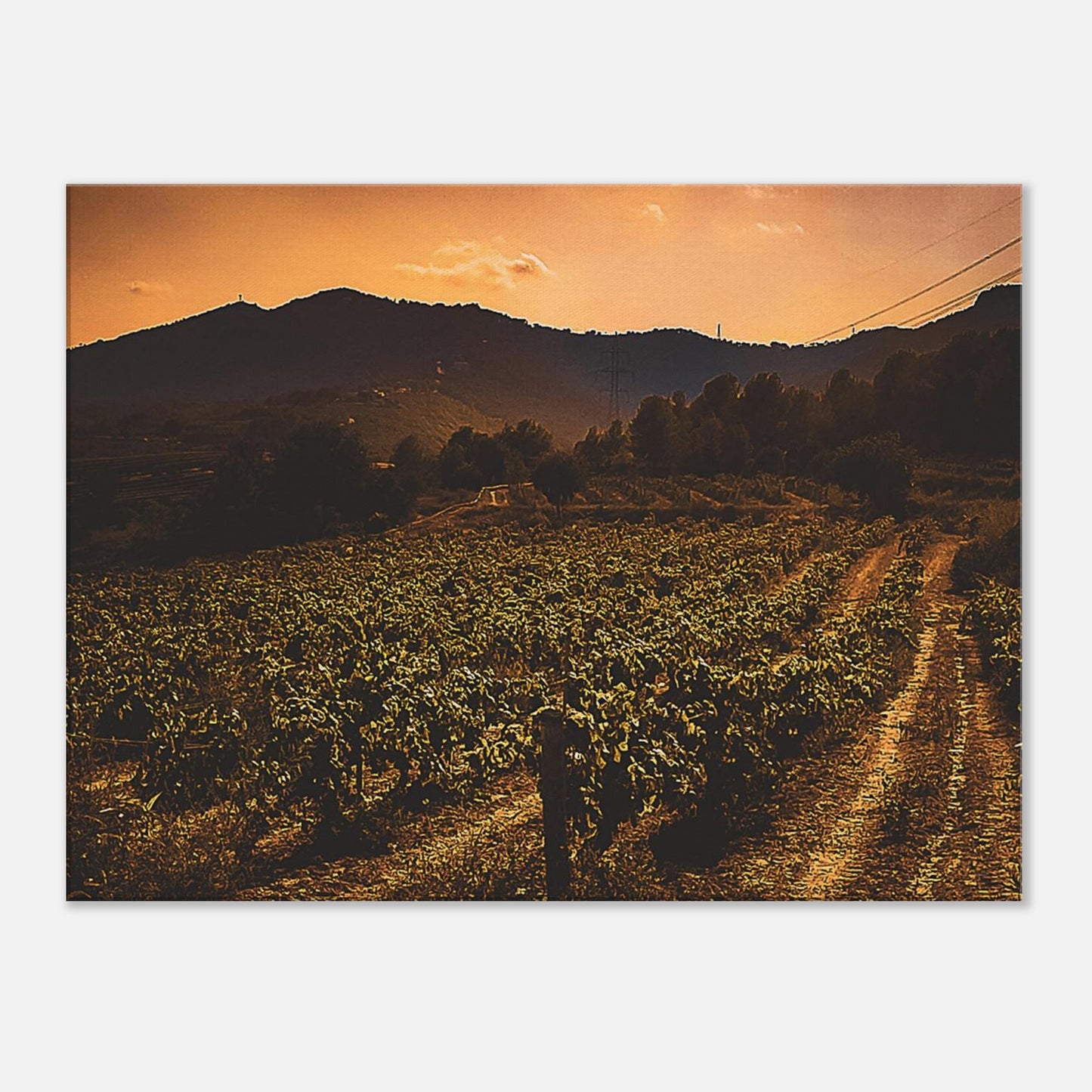 3d8a2124-1ba7-46ba-943d-bb2f07a6243d