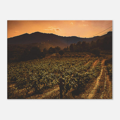 3d8a2124-1ba7-46ba-943d-bb2f07a6243d