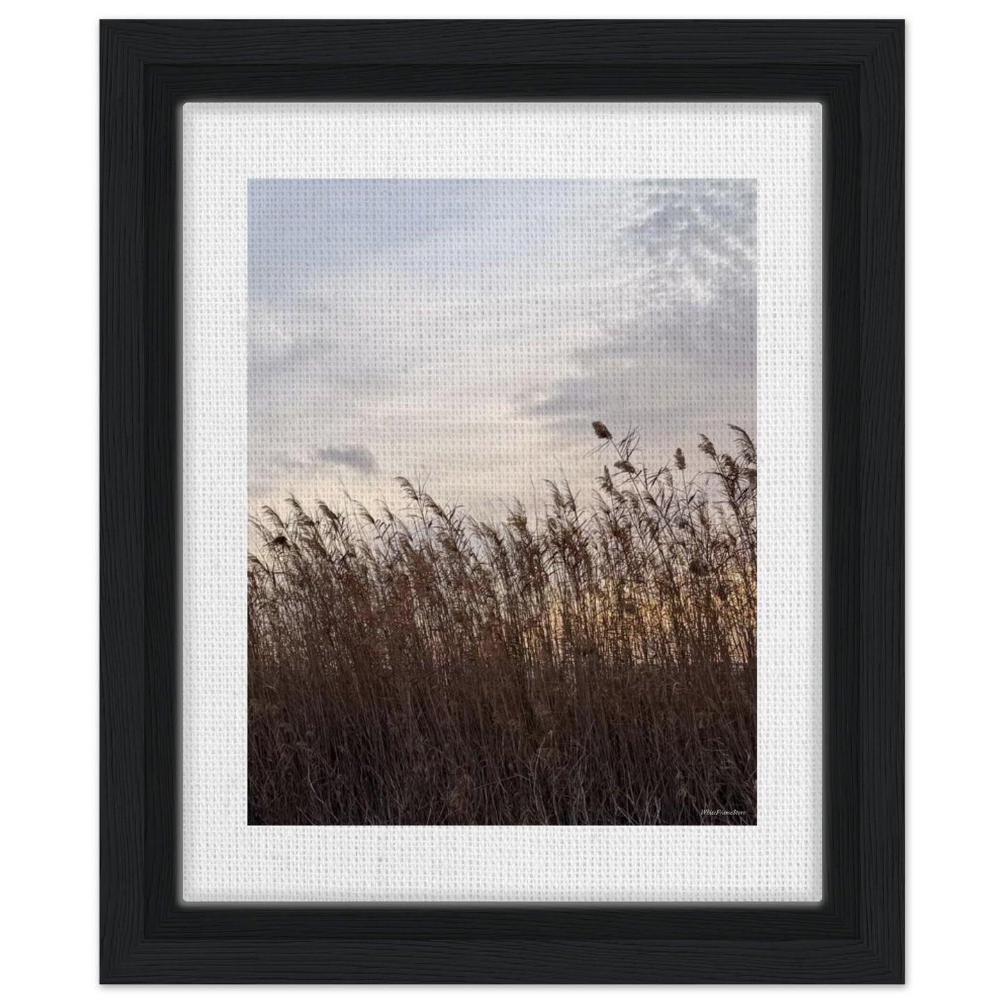 3d917242-73d2-44fa-af51-18bbb2786c9c