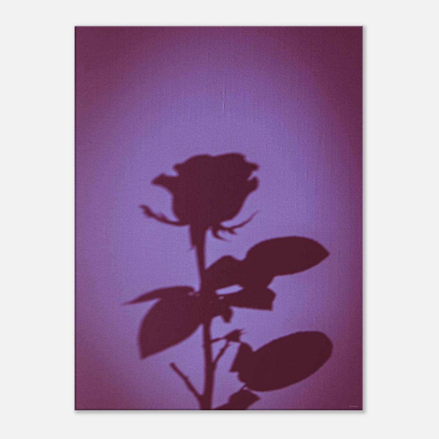 3db03e73-e750-41aa-9399-da27b4a3a845