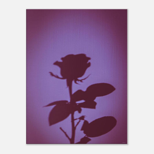 3db03e73-e750-41aa-9399-da27b4a3a845