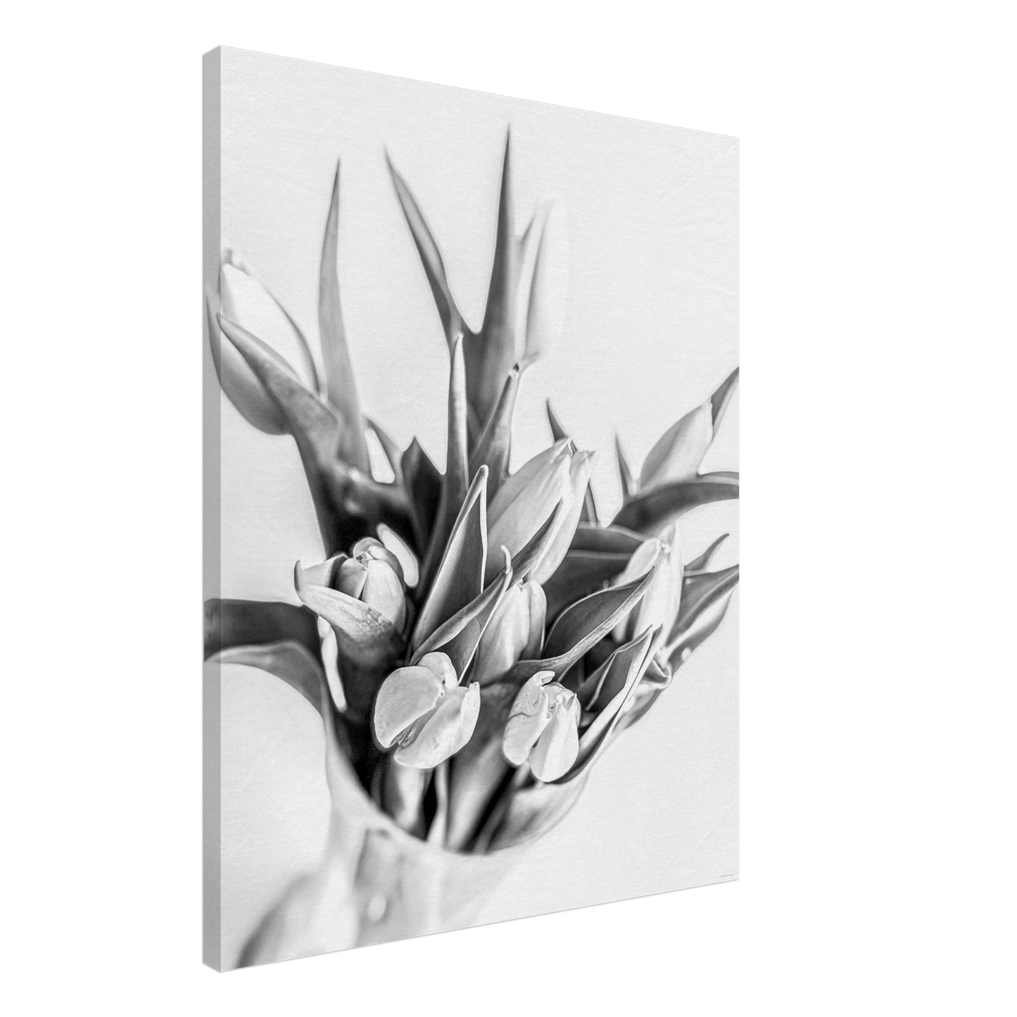 3db480c1-b7ad-48aa-87b1-e466d57e8d79