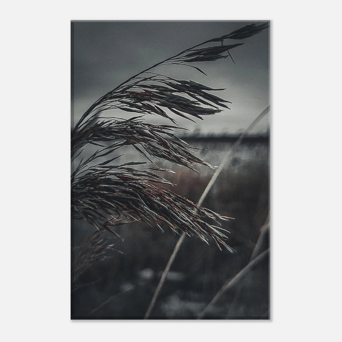 3dddd391-1480-4b43-b0e2-521c3727ed3a