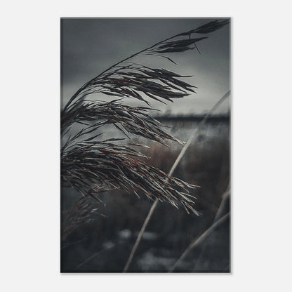 3dddd391-1480-4b43-b0e2-521c3727ed3a