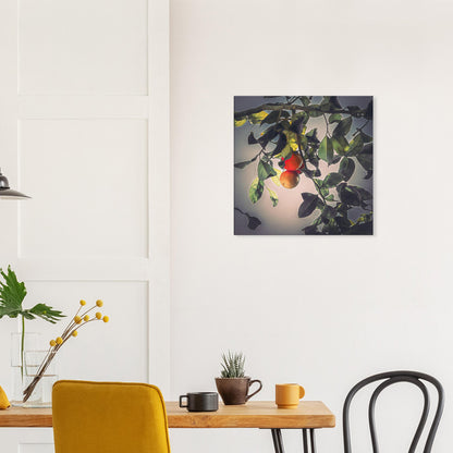 3df95c7e-01f1-4f05-ae0a-9d56d211b565