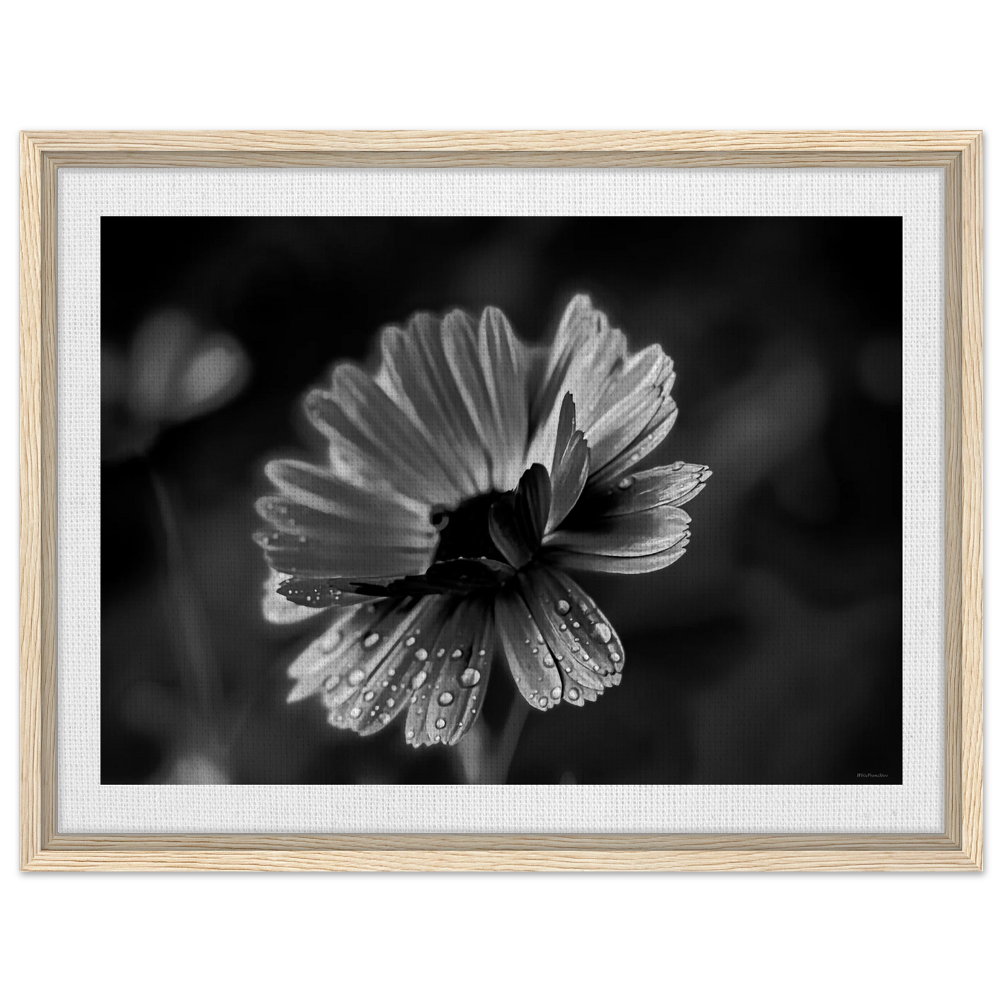 3e0e16f8-c0c2-4403-950b-08242b0da55c